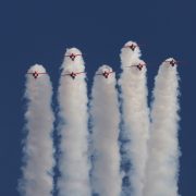 Red Swans product image